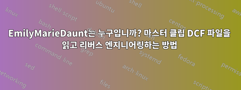 EmilyMarieDaunt는 누구입니까? 마스터 클립 DCF 파일을 읽고 리버스 엔지니어링하는 방법