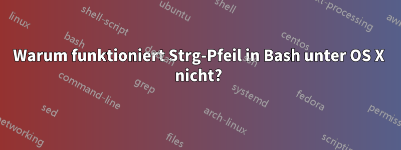 Warum funktioniert Strg-Pfeil in Bash unter OS X nicht?