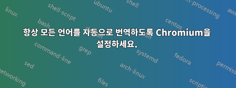 항상 모든 언어를 자동으로 번역하도록 Chromium을 설정하세요.