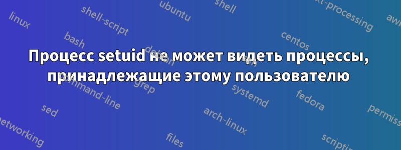 Процесс setuid не может видеть процессы, принадлежащие этому пользователю
