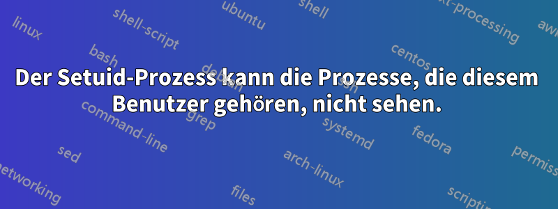 Der Setuid-Prozess kann die Prozesse, die diesem Benutzer gehören, nicht sehen.