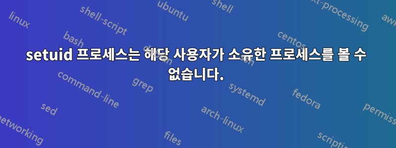 setuid 프로세스는 해당 사용자가 소유한 프로세스를 볼 수 없습니다.