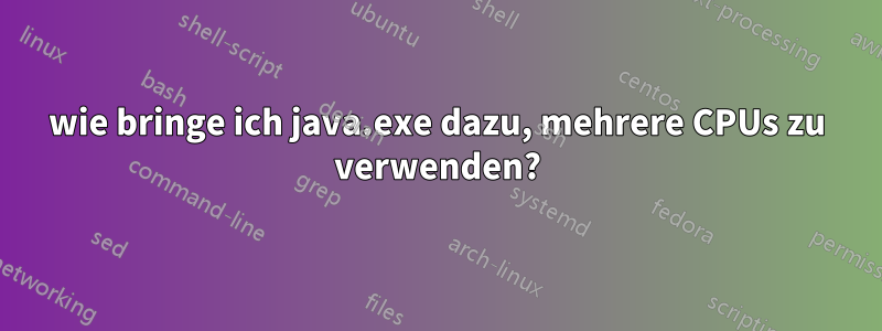 wie bringe ich java.exe dazu, mehrere CPUs zu verwenden?