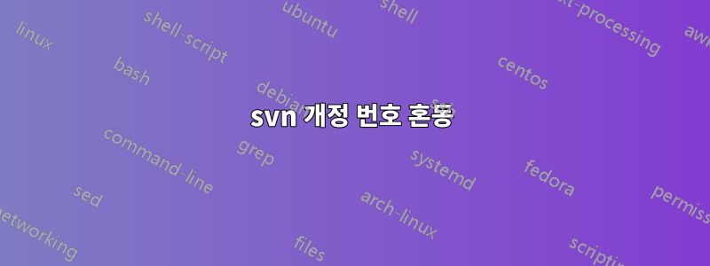 svn 개정 번호 혼동