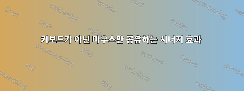 키보드가 아닌 마우스만 공유하는 시너지 효과