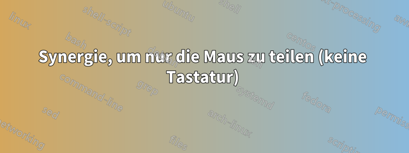 Synergie, um nur die Maus zu teilen (keine Tastatur)
