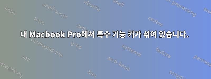 내 Macbook Pro에서 특수 기능 키가 섞여 있습니다.