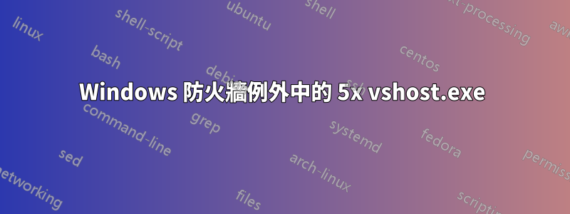 Windows 防火牆例外中的 5x vshost.exe