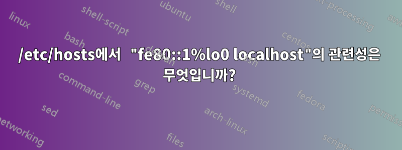 /etc/hosts에서 "fe80::1%lo0 localhost"의 관련성은 무엇입니까?