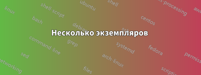Несколько экземпляров