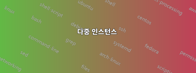 다중 인스턴스
