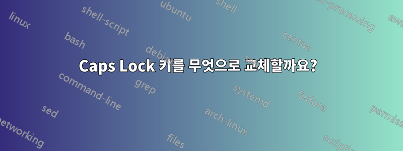 Caps Lock 키를 무엇으로 교체할까요? 