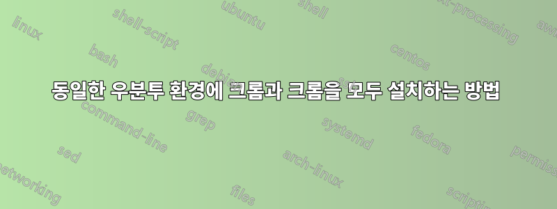 동일한 우분투 환경에 크롬과 크롬을 모두 설치하는 방법