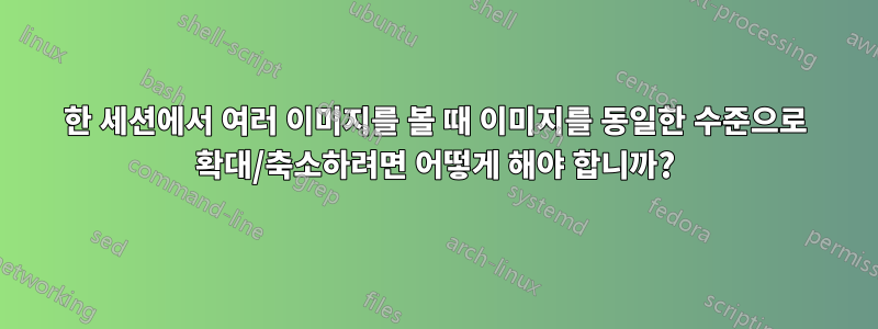 한 세션에서 여러 이미지를 볼 때 이미지를 동일한 수준으로 확대/축소하려면 어떻게 해야 합니까?