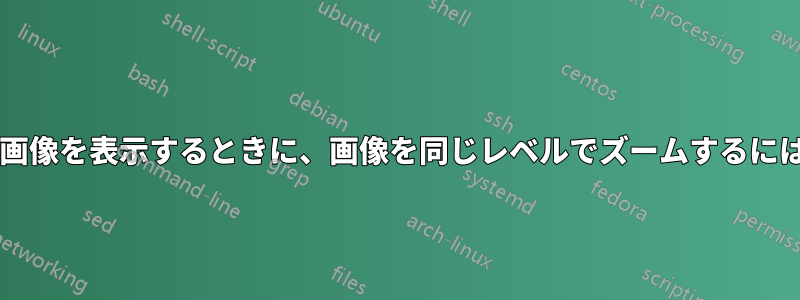 1 回のセッションで複数の画像を表示するときに、画像を同じレベルでズームするにはどうすればよいですか?