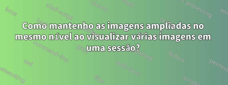 Como mantenho as imagens ampliadas no mesmo nível ao visualizar várias imagens em uma sessão?