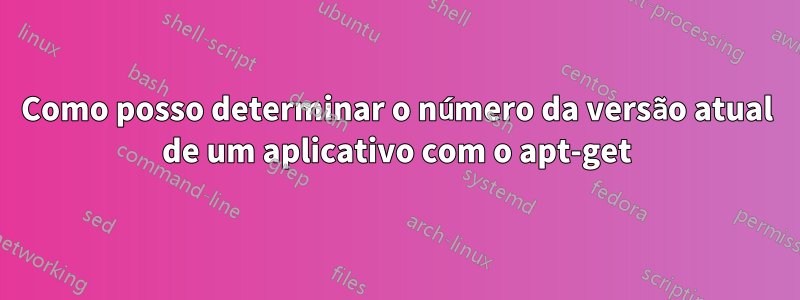 Como posso determinar o número da versão atual de um aplicativo com o apt-get