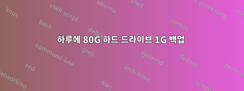 하루에 80G 하드 드라이브 1G 백업