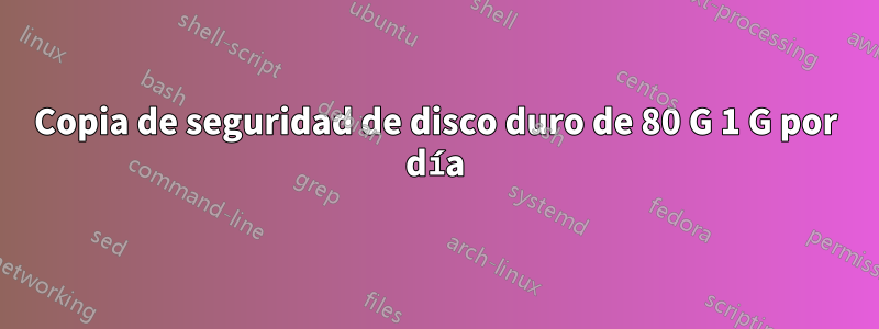 Copia de seguridad de disco duro de 80 G 1 G por día