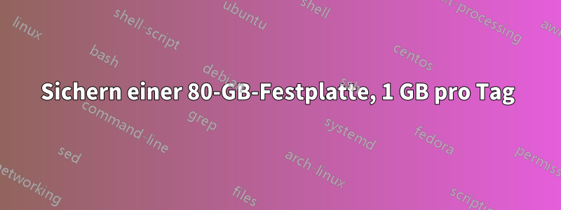 Sichern einer 80-GB-Festplatte, 1 GB pro Tag