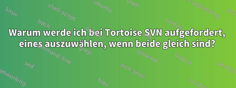 Warum werde ich bei Tortoise SVN aufgefordert, eines auszuwählen, wenn beide gleich sind?