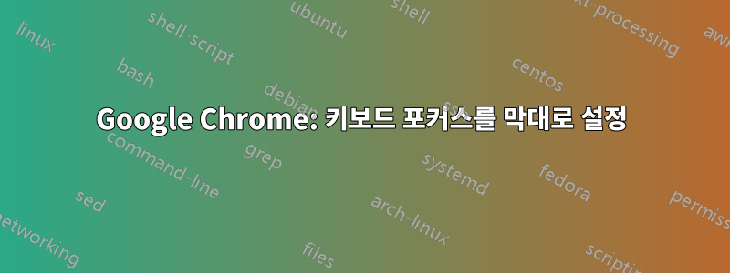 Google Chrome: 키보드 포커스를 막대로 설정
