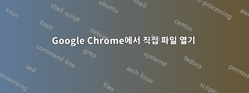 Google Chrome에서 직접 파일 열기