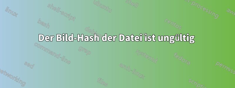 Der Bild-Hash der Datei ist ungültig