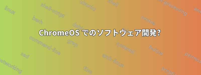 ChromeOS でのソフトウェア開発?