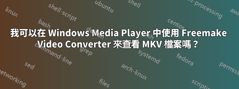 我可以在 Windows Media Player 中使用 Freemake Video Converter 來查看 MKV 檔案嗎？