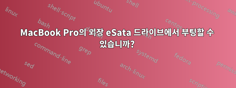 MacBook Pro의 외장 eSata 드라이브에서 부팅할 수 있습니까?