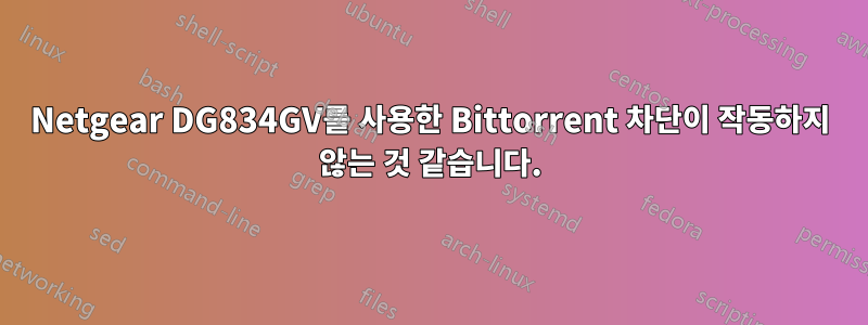 Netgear DG834GV를 사용한 Bittorrent 차단이 작동하지 않는 것 같습니다.