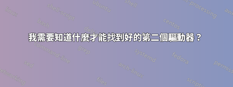 我需要知道什麼才能找到好的第二個驅動器？