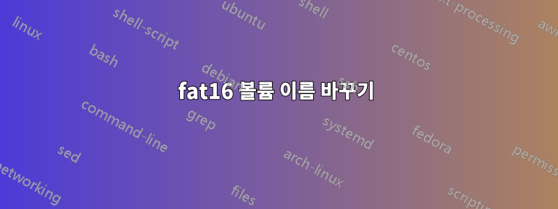 fat16 볼륨 이름 바꾸기