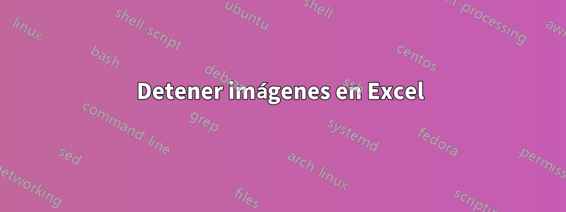 Detener imágenes en Excel