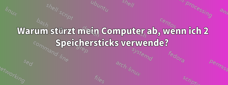 Warum stürzt mein Computer ab, wenn ich 2 Speichersticks verwende? 