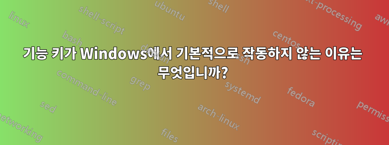 기능 키가 Windows에서 기본적으로 작동하지 않는 이유는 무엇입니까?