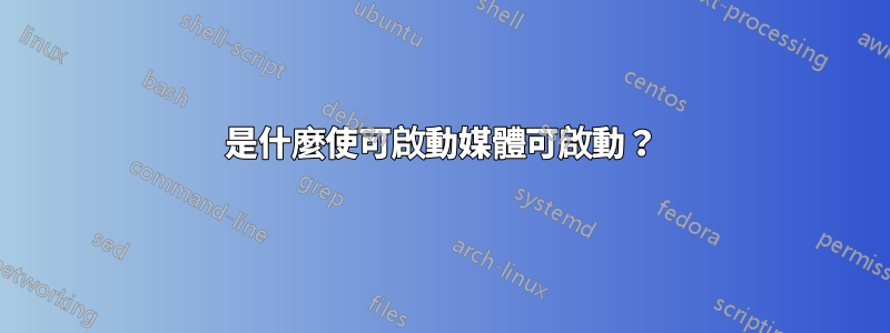 是什麼使可啟動媒體可啟動？