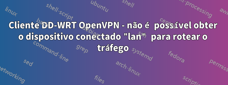 Cliente DD-WRT OpenVPN - não é possível obter o dispositivo conectado "lan" para rotear o tráfego