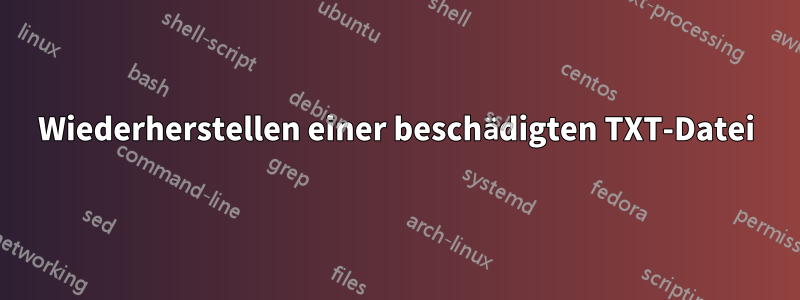 Wiederherstellen einer beschädigten TXT-Datei