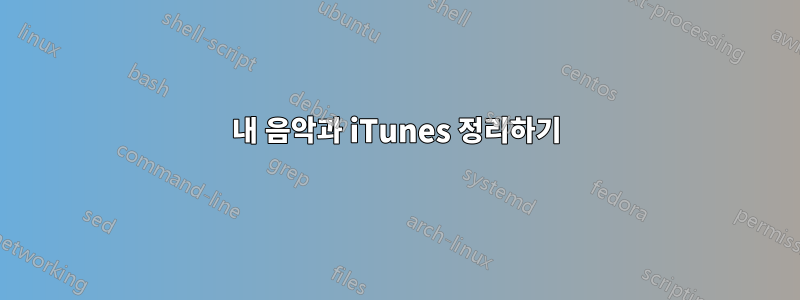 내 음악과 iTunes 정리하기