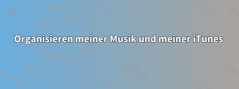 Organisieren meiner Musik und meiner iTunes