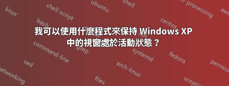 我可以使用什麼程式來保持 Windows XP 中的視窗處於活動狀態？