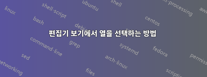 편집기 보기에서 열을 선택하는 방법