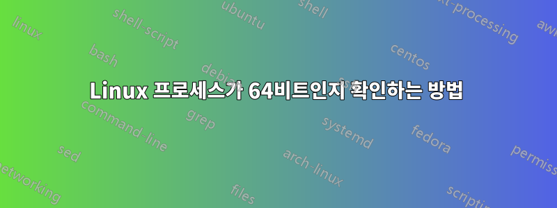 Linux 프로세스가 64비트인지 확인하는 방법