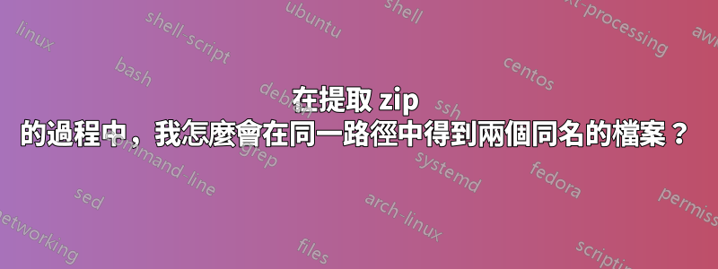 在提取 zip 的過程中，我怎麼會在同一路徑中得到兩個同名的檔案？