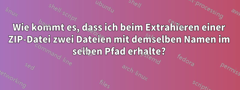 Wie kommt es, dass ich beim Extrahieren einer ZIP-Datei zwei Dateien mit demselben Namen im selben Pfad erhalte?