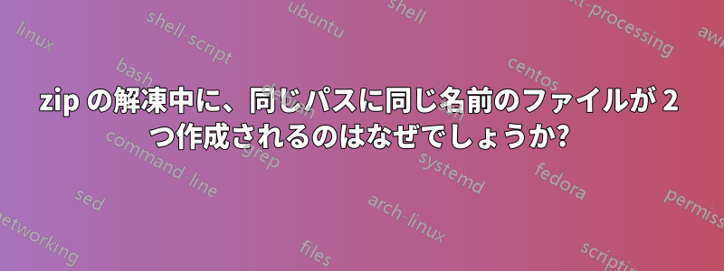 zip の解凍中に、同じパスに同じ名前のファイルが 2 つ作成されるのはなぜでしょうか?