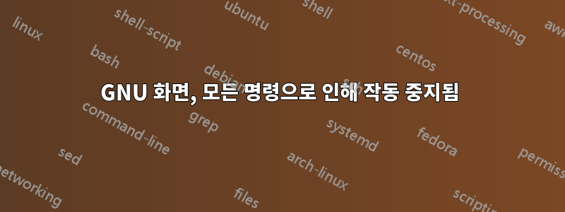 GNU 화면, 모든 명령으로 인해 작동 중지됨