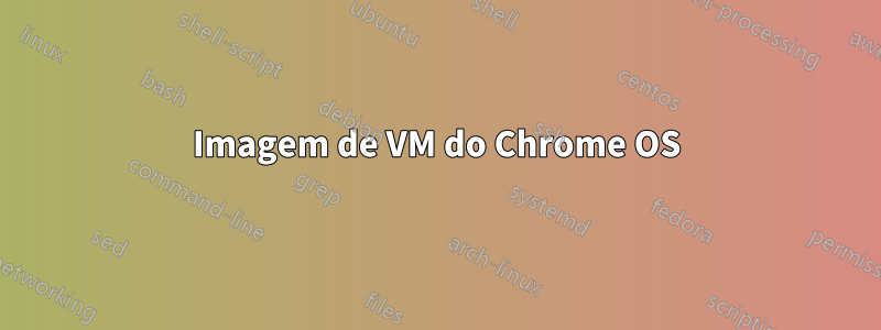 Imagem de VM do Chrome OS